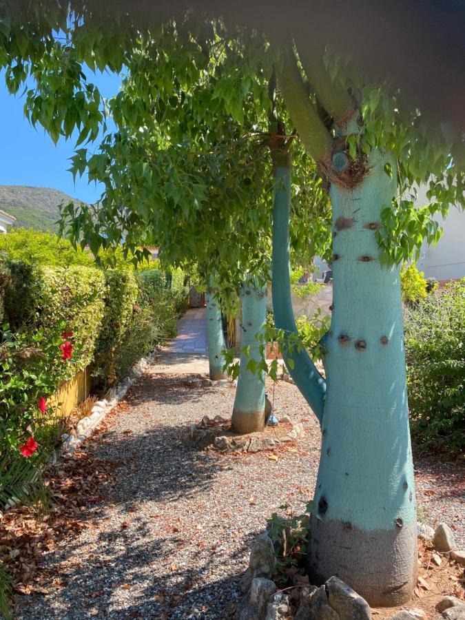 B&B Casa Oceo - Malaga - Andalusie Alhaurin de la Torre Luaran gambar